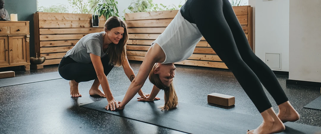 yogibar - Yoga Studio