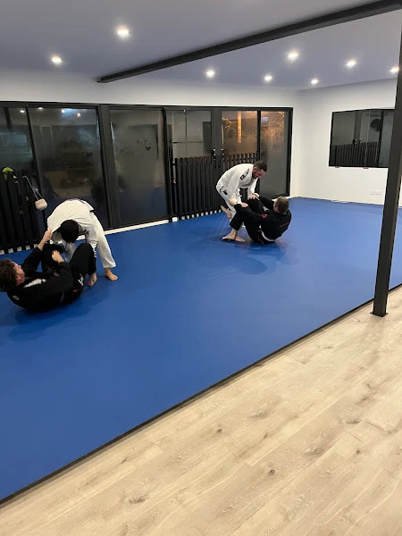 Synergy Submission Grappling & Jiu Jitsu