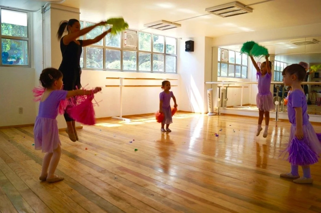 Danzando Studio