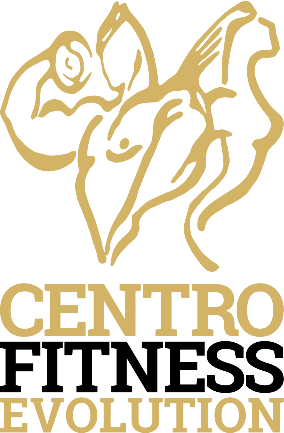 Centro Fitness Evolution