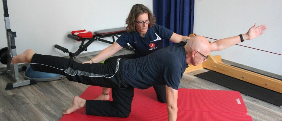 Maywald Training