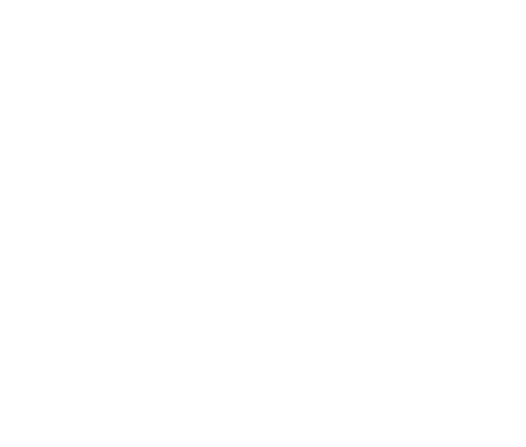 Life Center Classic Guemes