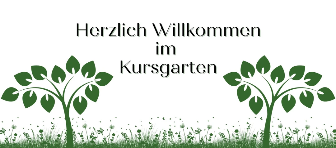 Pilates im Kursgarten Schopfheim