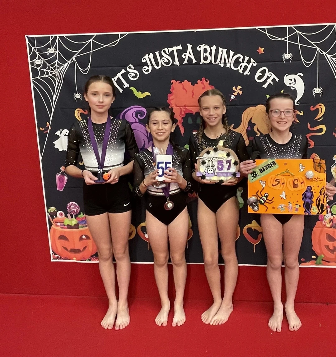 Verve Gymnastics