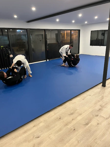 Synergy Submission Grappling & Jiu Jitsu