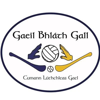 Blackhall Gaels GAA pitch, Kilcloon