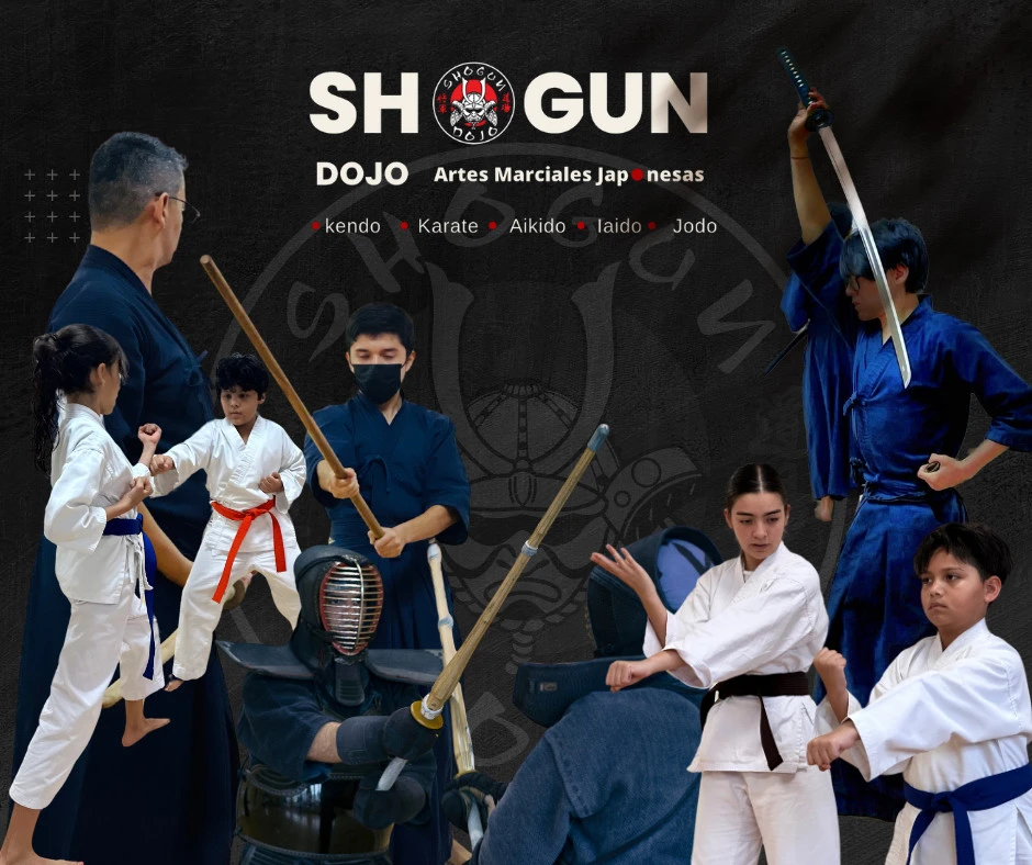 Shogun Dojo Cancún