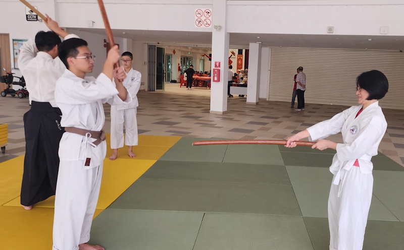 Goyukai Village Aikido