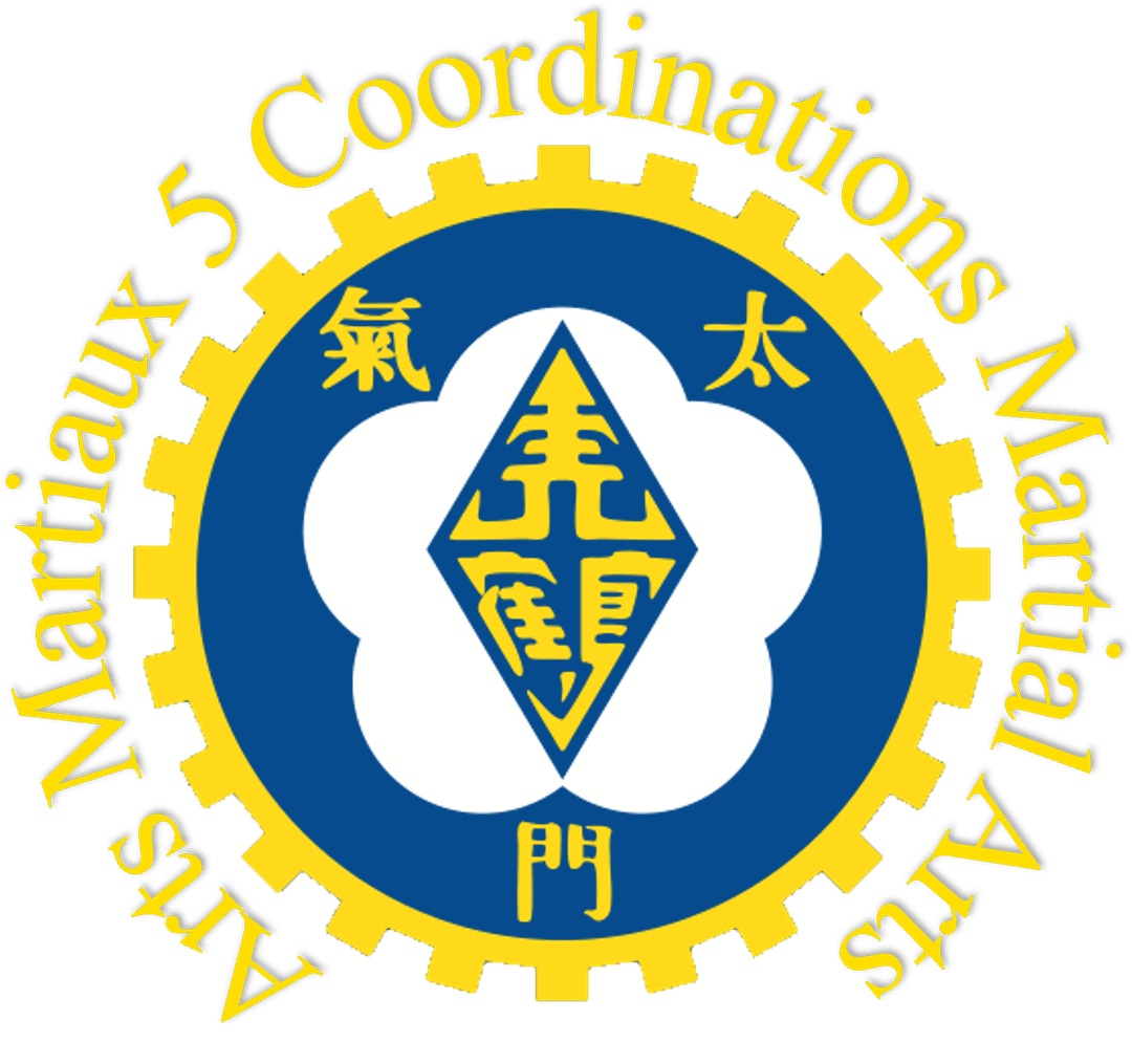 Arts Martiaux Cinq Coordinations