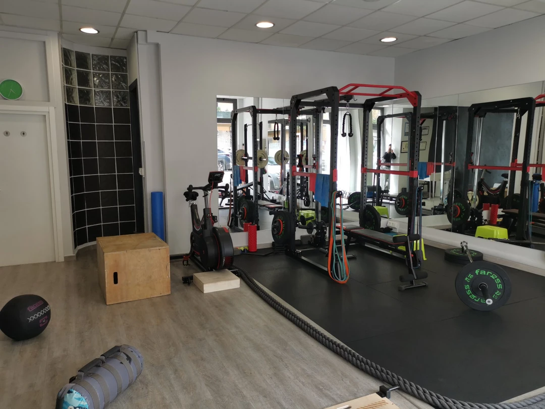 Palmieri Training Lab