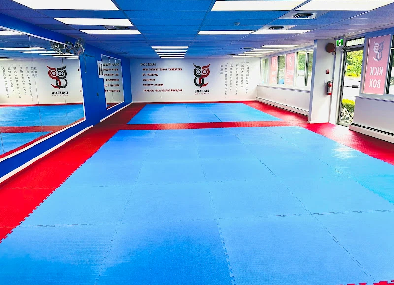Senosen Martial Arts
