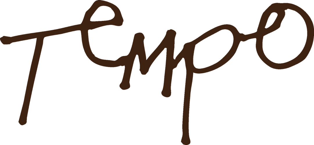 Tempo School of the Arts
