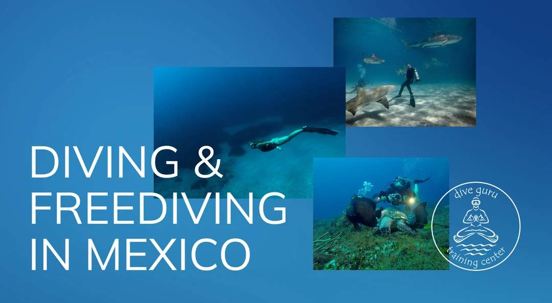 Dive Guru Center