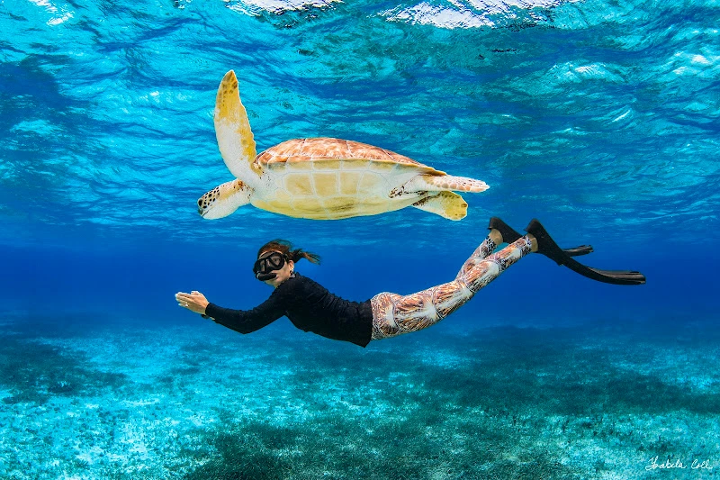 DINO Cozumel