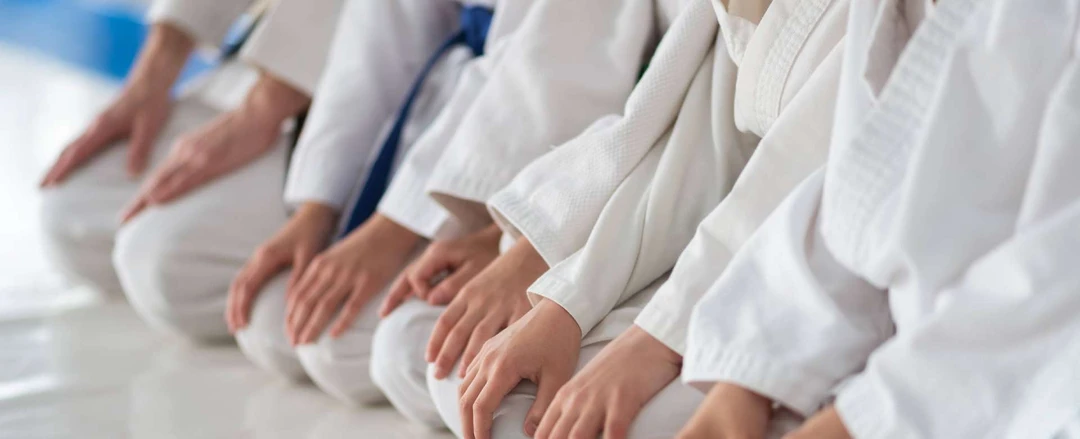 KARATE (SUPRATIM MITRA) Kyokushin karate