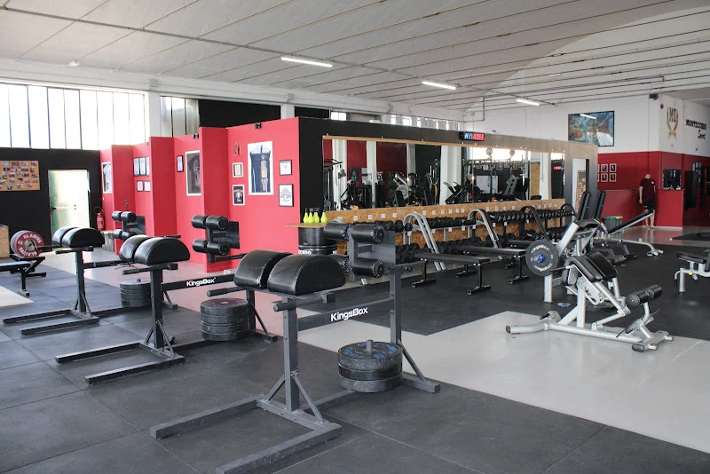 Montecchio Sport