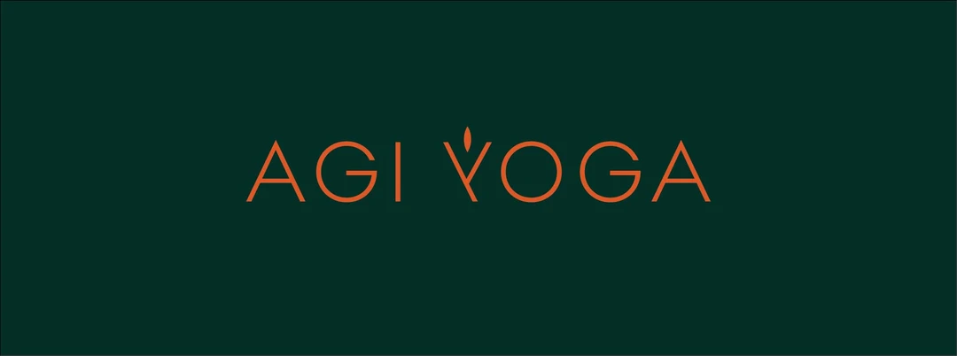 Agi Yoga Studio