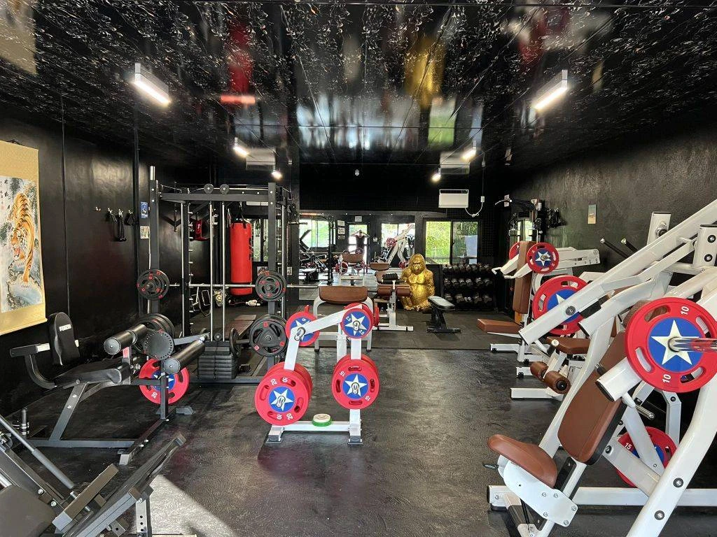 Golden Gorilla Gym ❄️ Siquijor