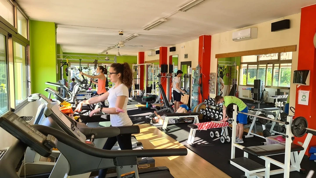 Evolution Fitness and Dance