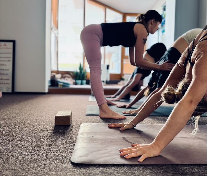 YOGISTER