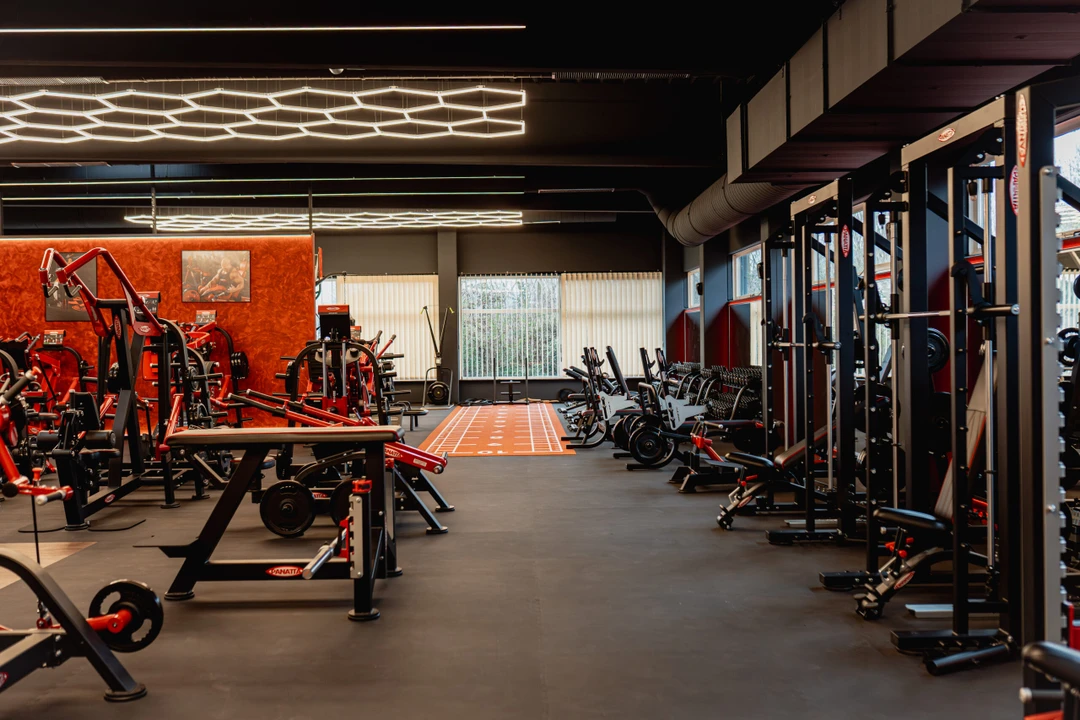 Gym Frey