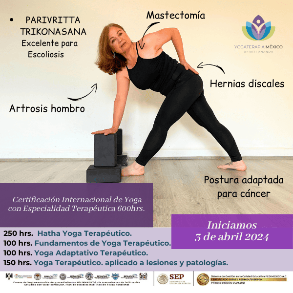 Yogaterapia México