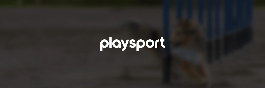 Positive K9 Training