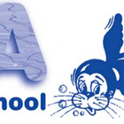 Aqua Seals Swimming Lessons