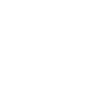 Welshpool Sharks Swimming Club