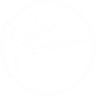 Temple Martial Arts Birmingham City Centre