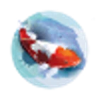 Carpodrome le poisson audomarois