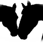 Burton Grange Equestrian