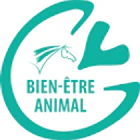 A 10 Mn De Deauville Balade À Horse Area De L'atlas