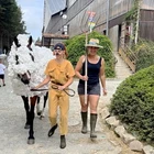 TXIKI PONEYS