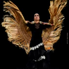 Flamenco Bremen Maria Rosa
