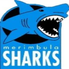 Merimbula Basketball