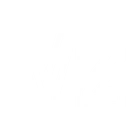 V2 FIT