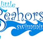 Little Seahorses Swimming UK