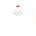 YOU Wellness Studio