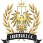 Laurelvale Cricket Club