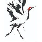 Marple Tai Chi Club