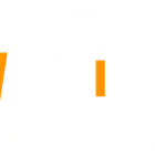 BodyVision