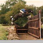 Ingestre Stables