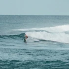 Capbreton Surf School, Ecole Française De Surf, Qualité Tourisme, Depuis 2003