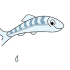 Millennium Minnows Swimming Lessons