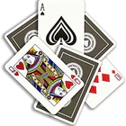 Beginner Lessons
