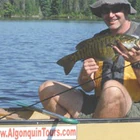 Algonquin Park Guided Canoe Day Tour