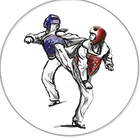 TaeKwonDo Masters Academy of Canada (TMA Canada)