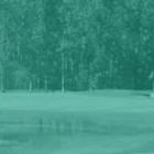 Grand Pines Golf Course