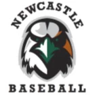 Newcastle Baseball Association Graded Competition